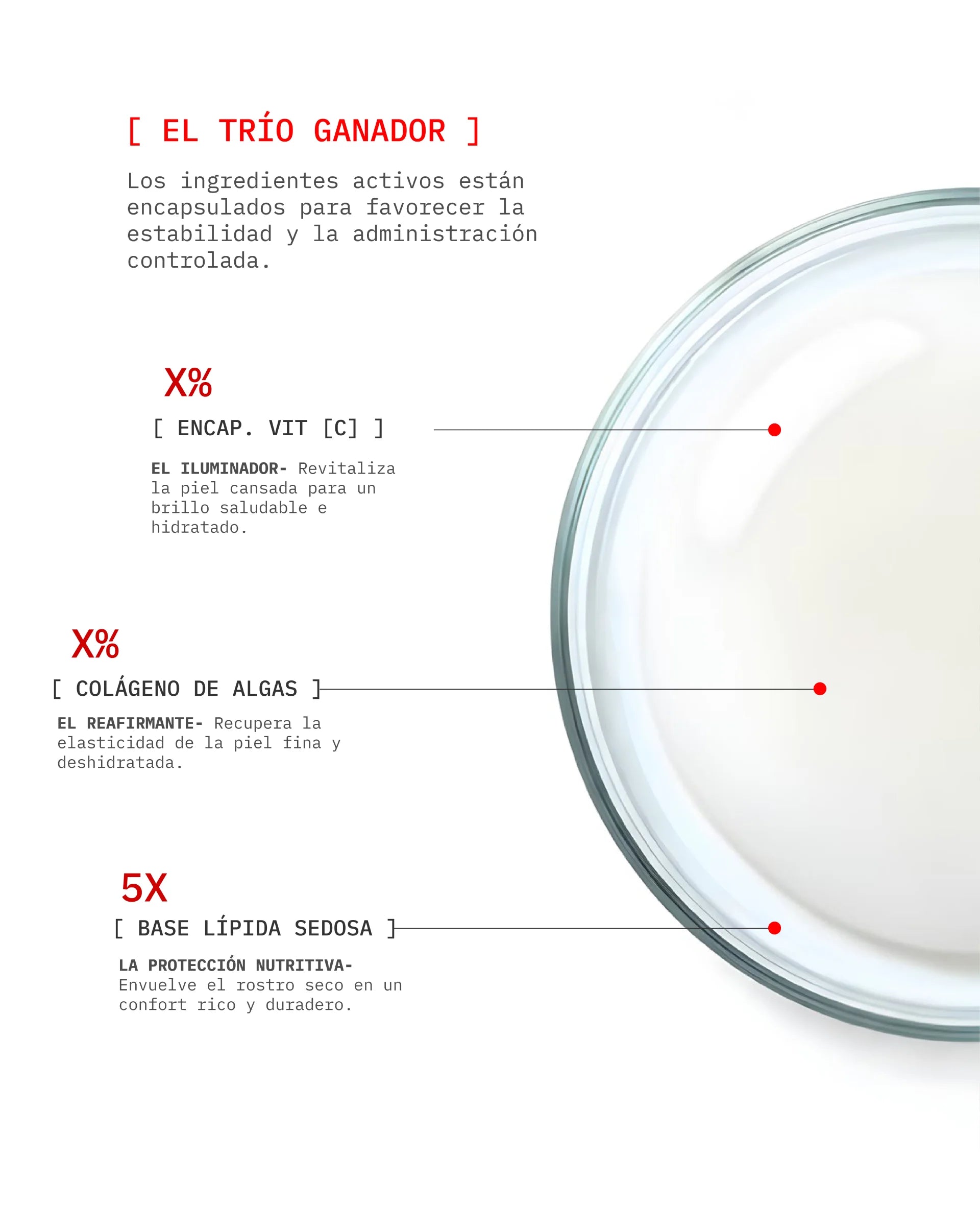Vit C - Ageless Lift Full Routine (D)