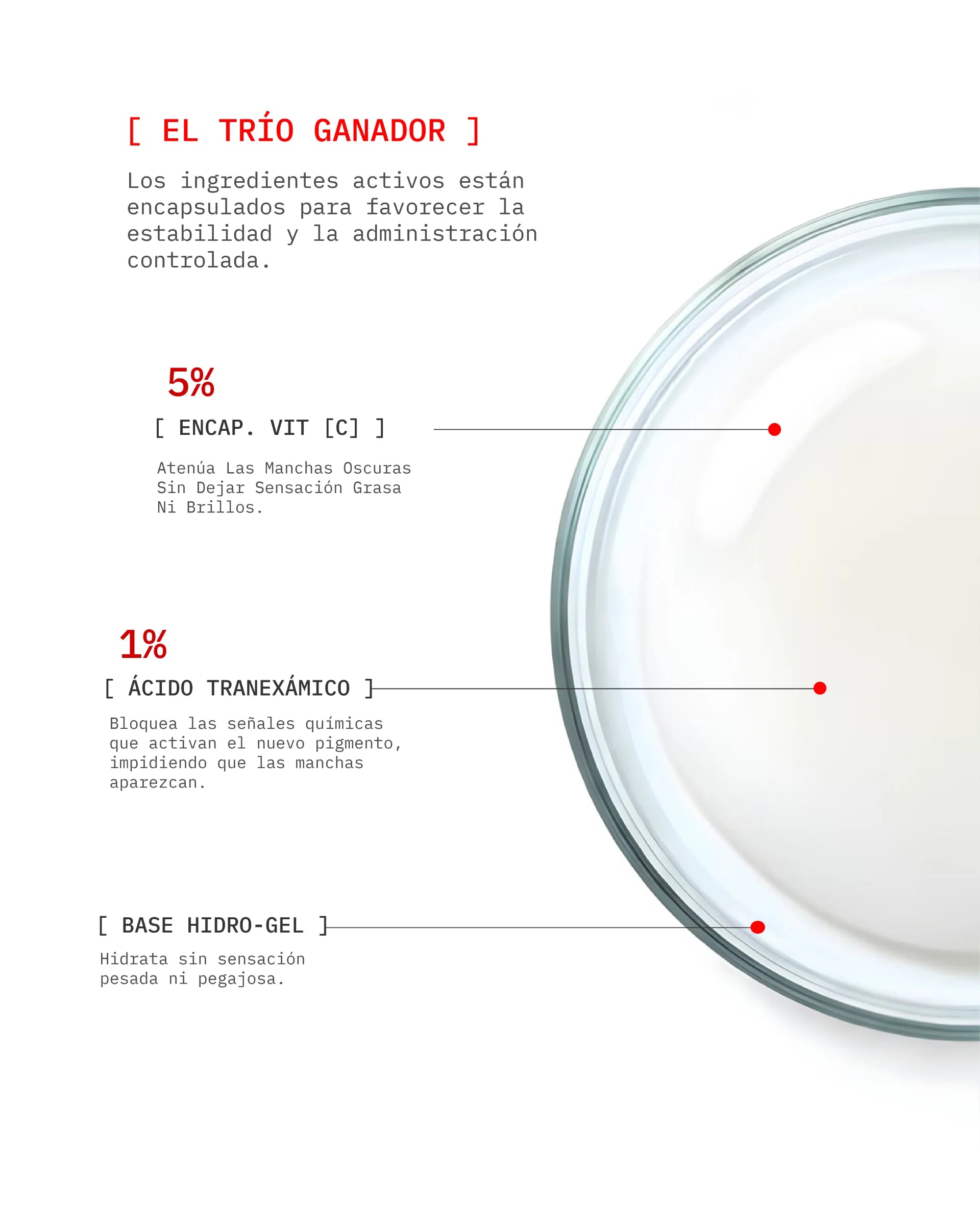 Vit C - Even-Tone Glow Full Routine (OC)