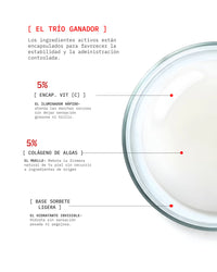 Ageless Lift Cream Actives Percentage