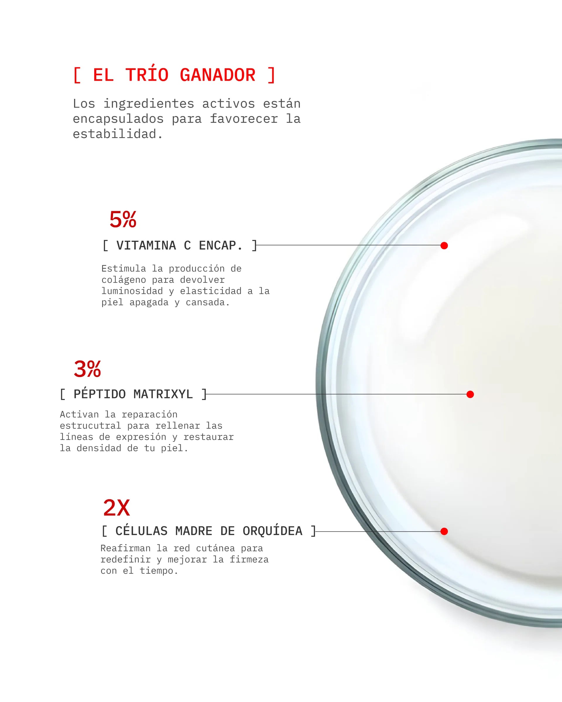 Vit C - Ageless Lift Baby Routine (D)