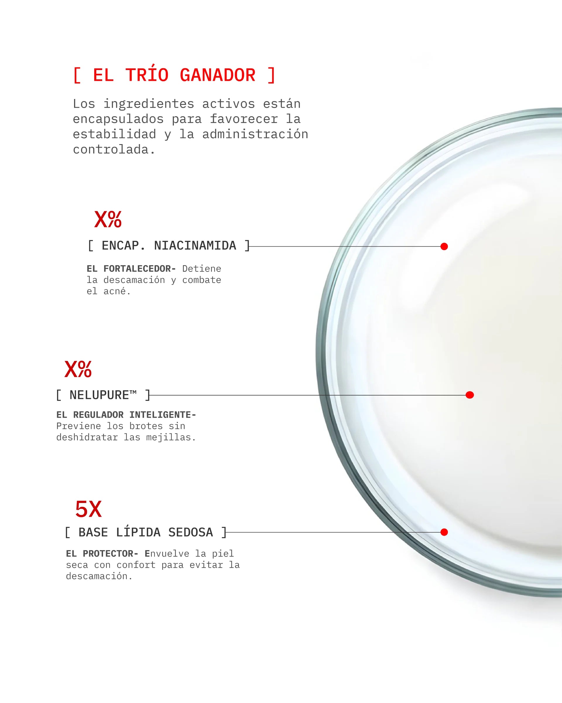 Bye Breakouts Moisturizer