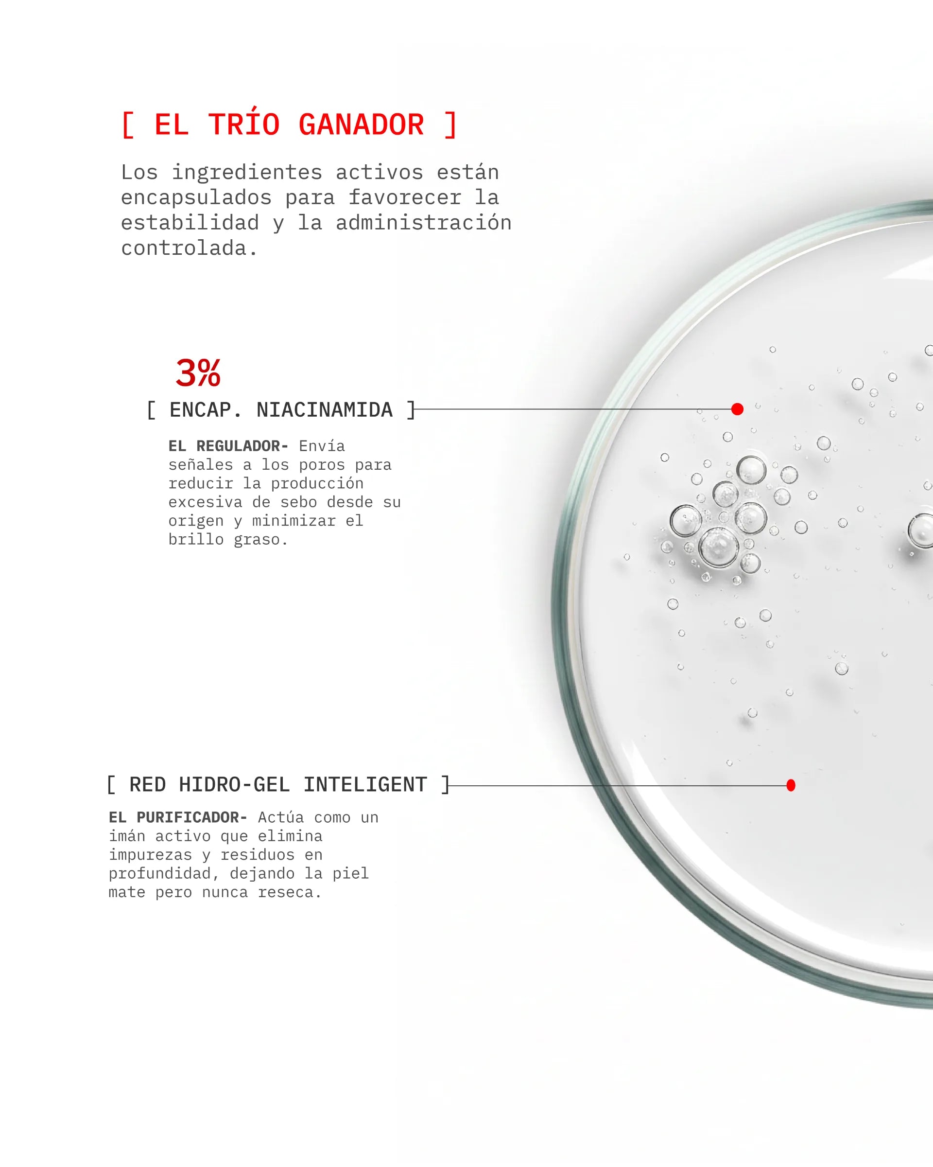 Vit C - Ageless Lift Full Routine (OC)